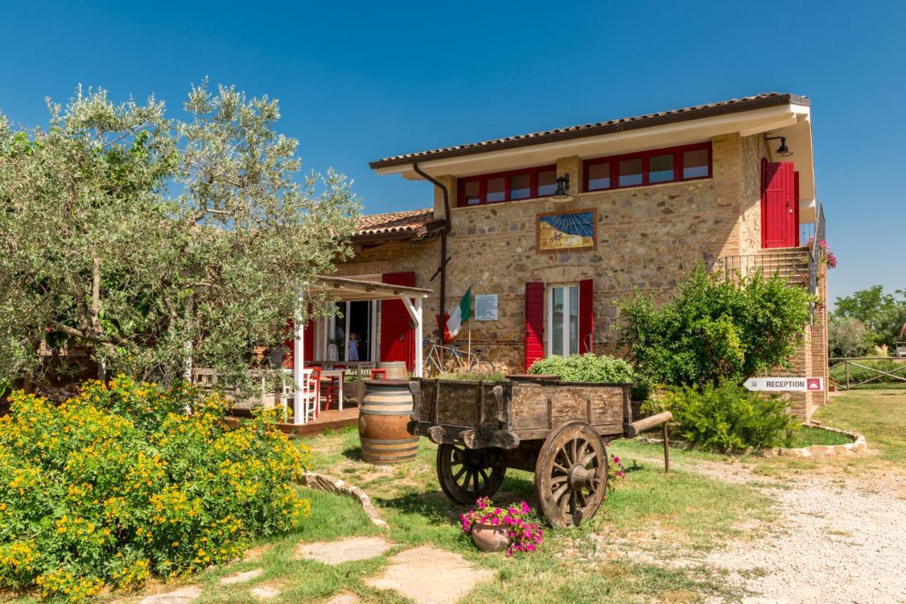 Il Barbagianni Bed and Breakfast Montepescali Eksteriør billede