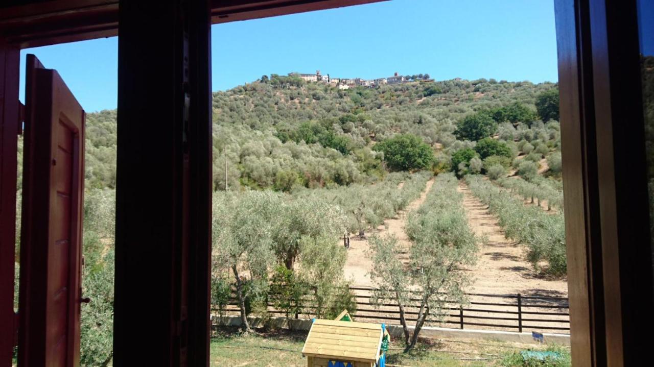 Il Barbagianni Bed and Breakfast Montepescali Eksteriør billede