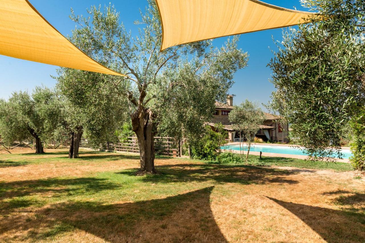 Il Barbagianni Bed and Breakfast Montepescali Eksteriør billede